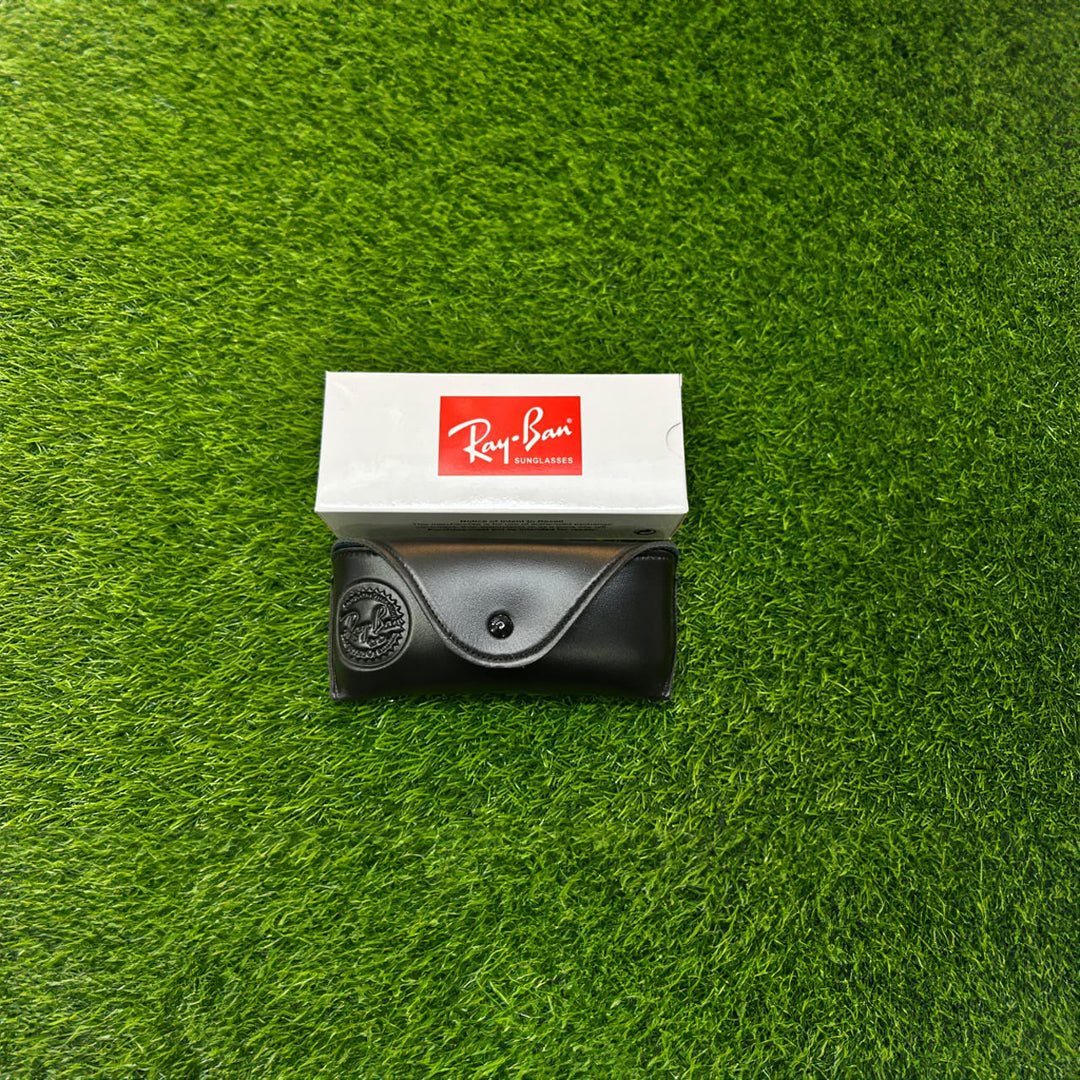Frame + Sunglass Cover Ray Ban 2