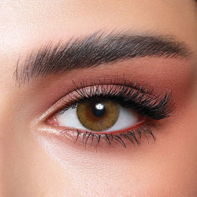 BELLA ELITE SILKY GOLD Al Irshad International