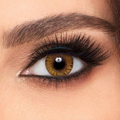 PURE HAZEL